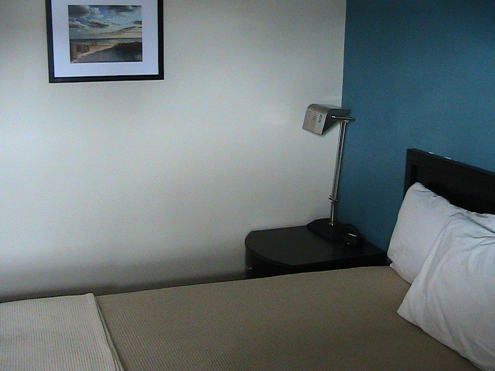 Shore Point Motel Point Pleasant Beach Esterno foto